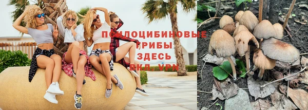 герыч Алексин