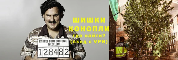 СК Аркадак