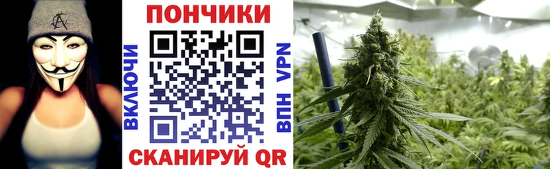 Канабис план Будённовск